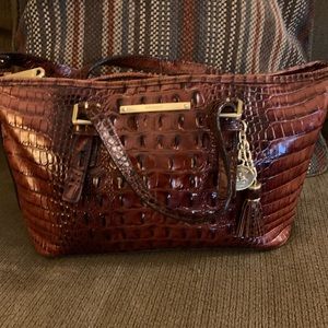 Brahmin Melbourne Collection Mini Asher Satchel